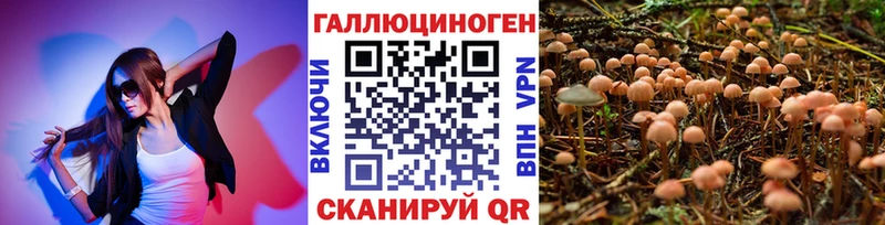 Псилоцибиновые грибы мицелий  Пушкино 