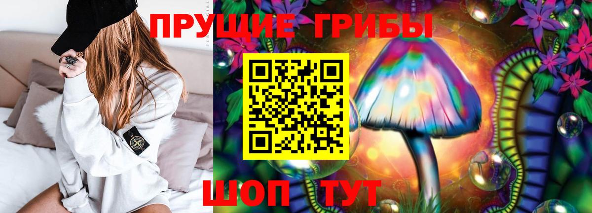 Псилоцибиновые грибы ЛСД Пушкино