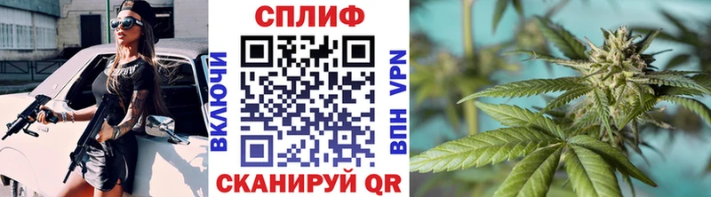 Бошки Шишки Amnesia  ОМГ ОМГ tor  Пушкино 